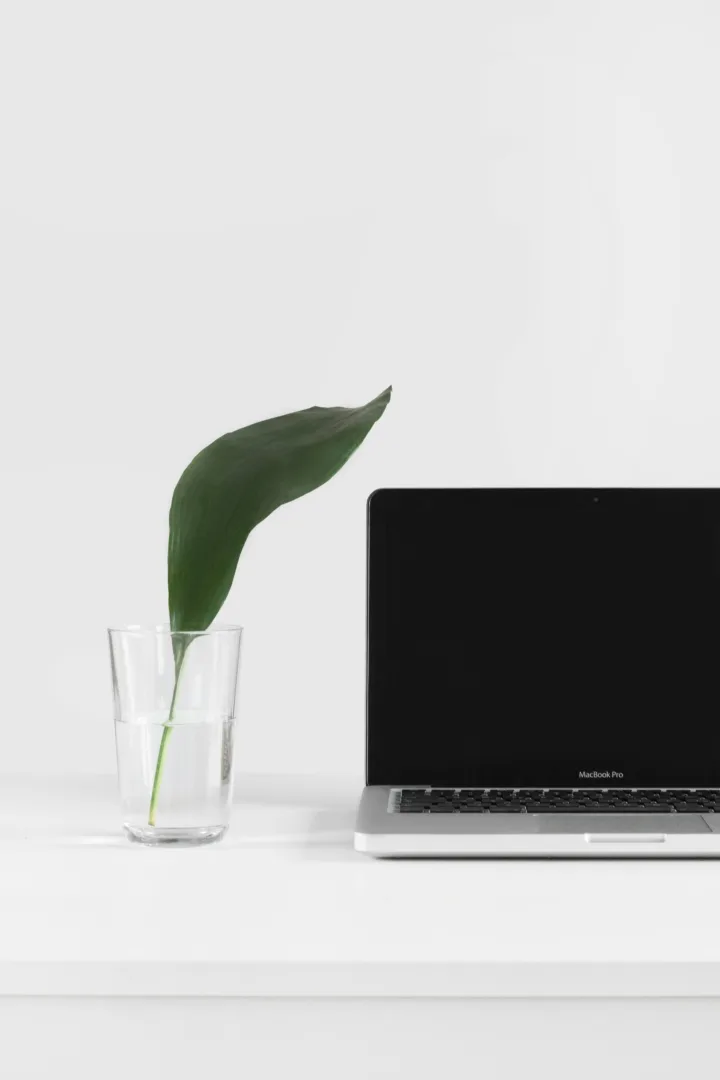 Sarah dorweiler Qe Vm Jx Z Ov3k unsplash