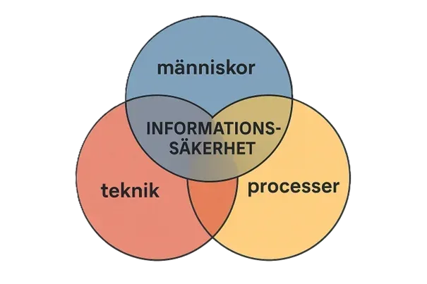 Grunderna i informationssakerhet