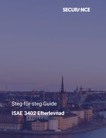 ISAE 3402 bild